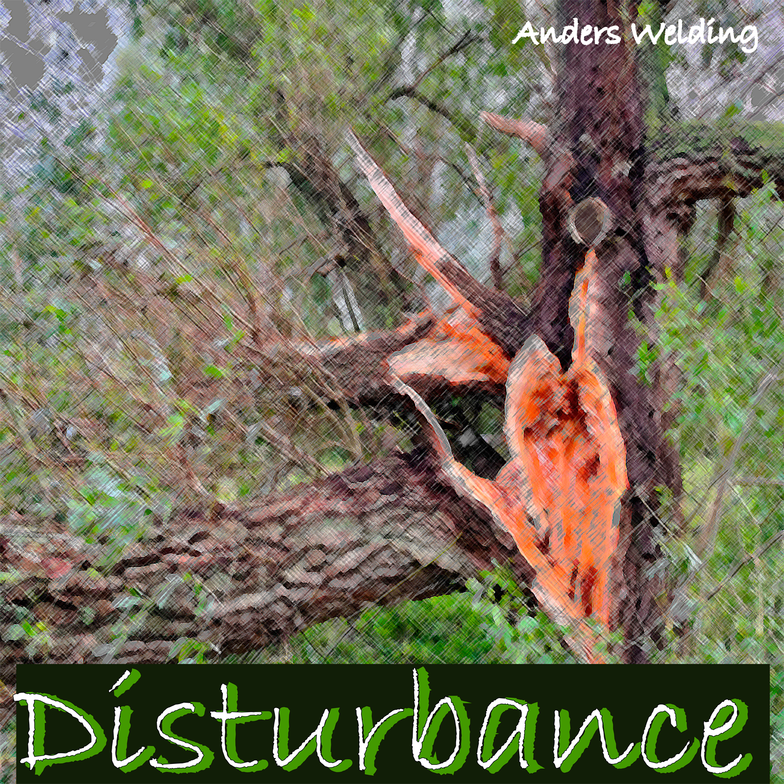 Disturbance