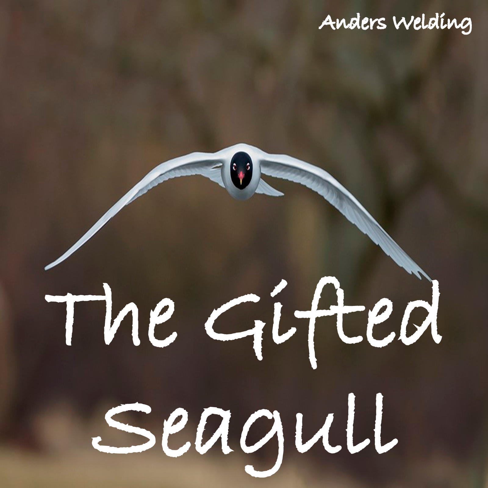 The Gifted Seagull